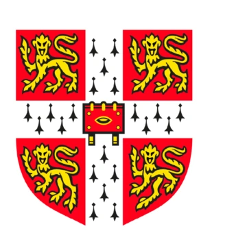 Cambridge International School
