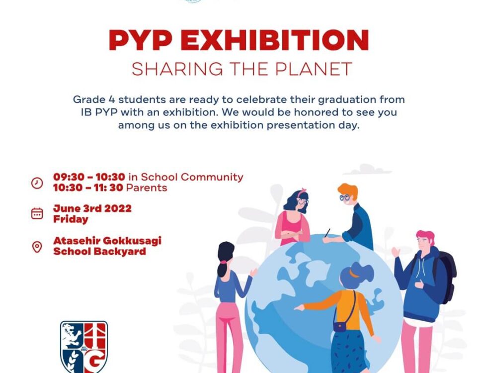 pypsergisi