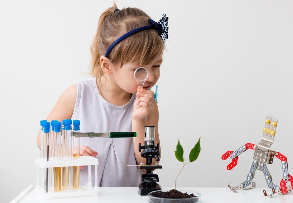 stem egitimi